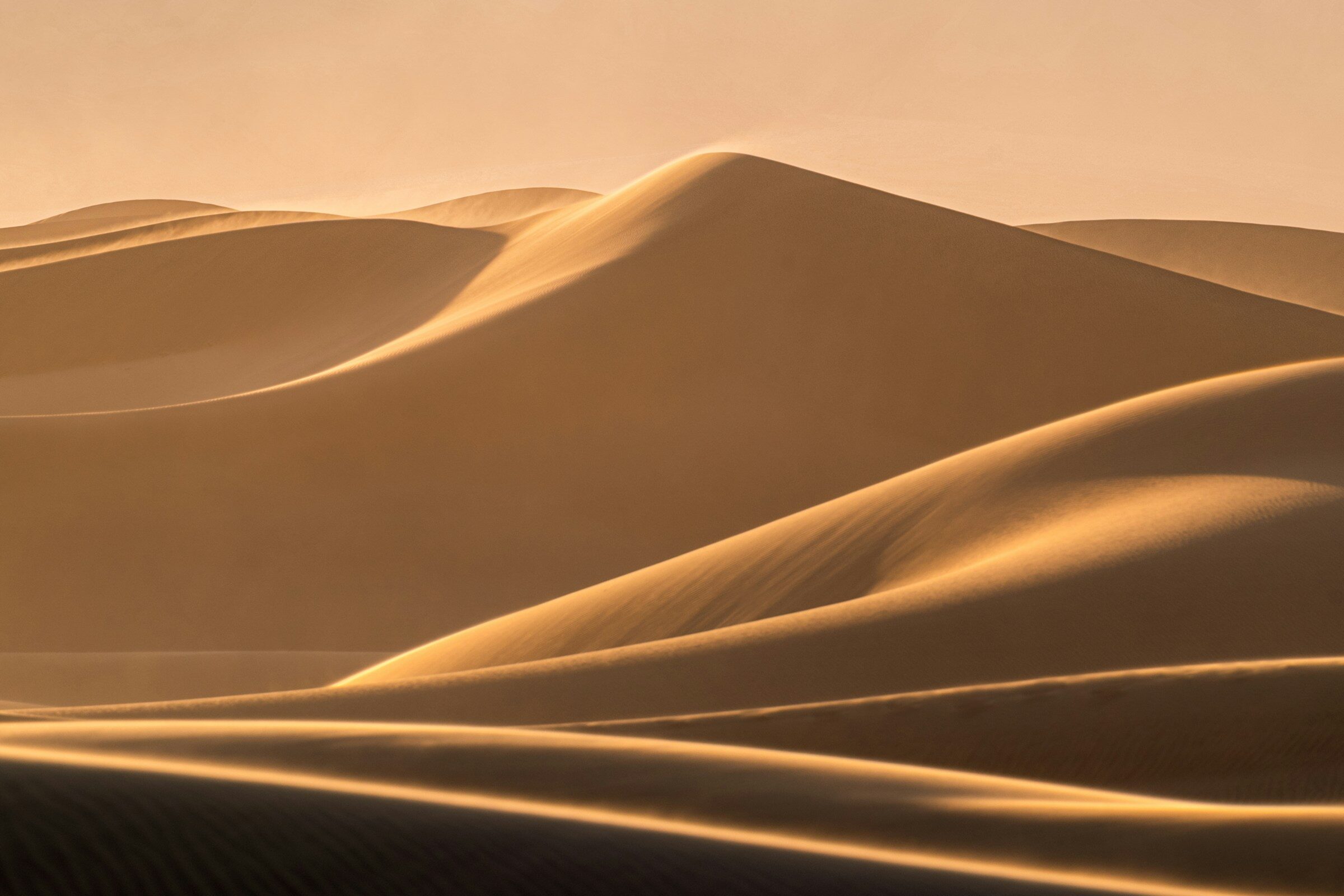 A ridge of sand dunes in the desert