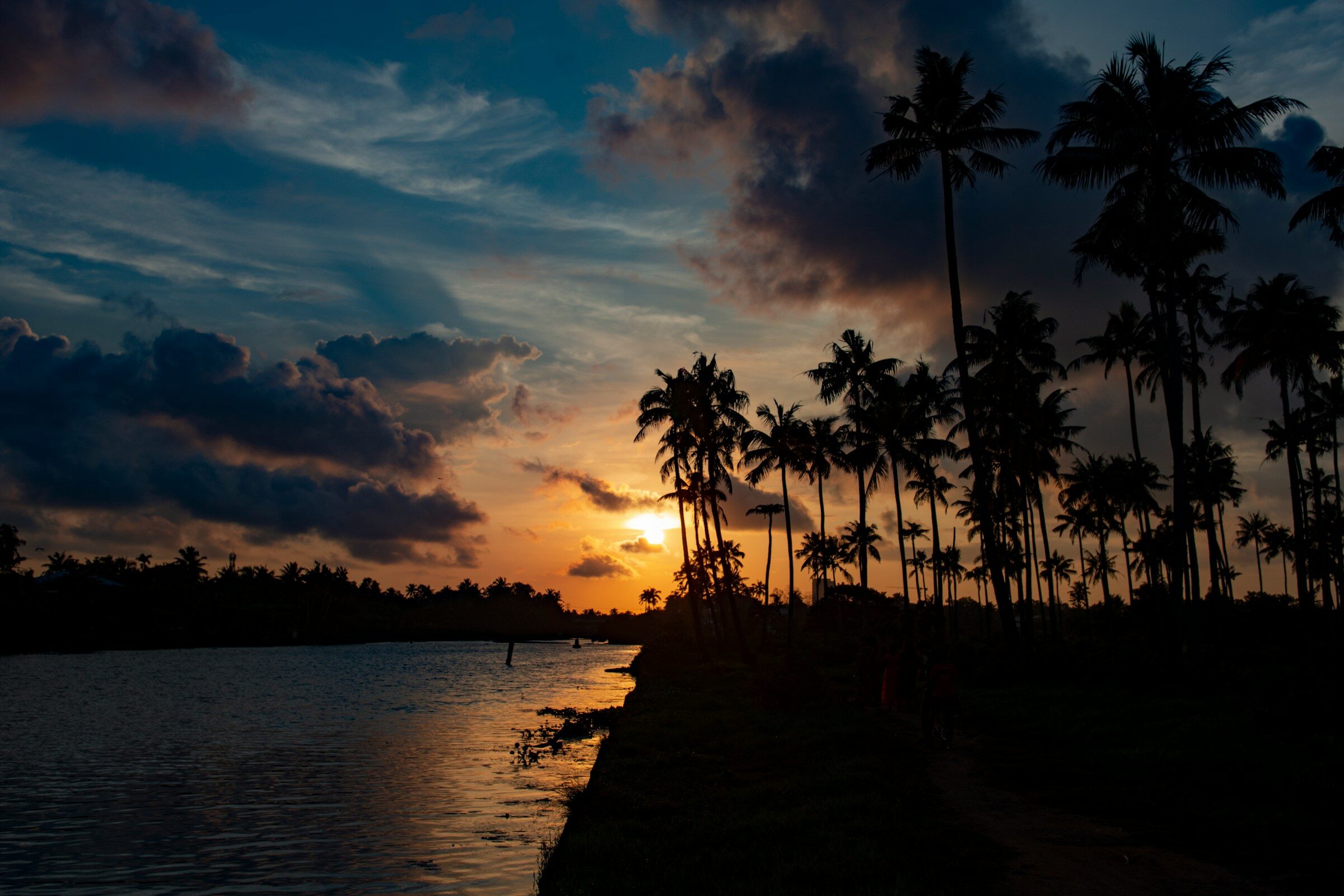 Palms silhouetted over the water at sunset in Kerala