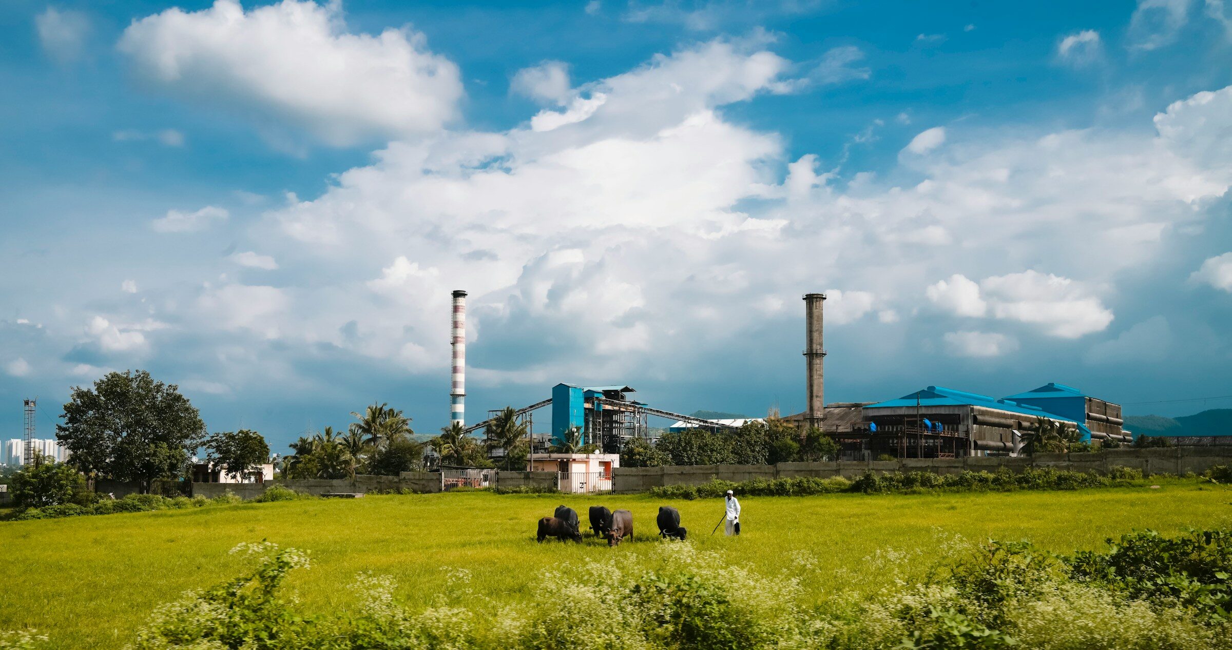 A factory beyond a field of grass