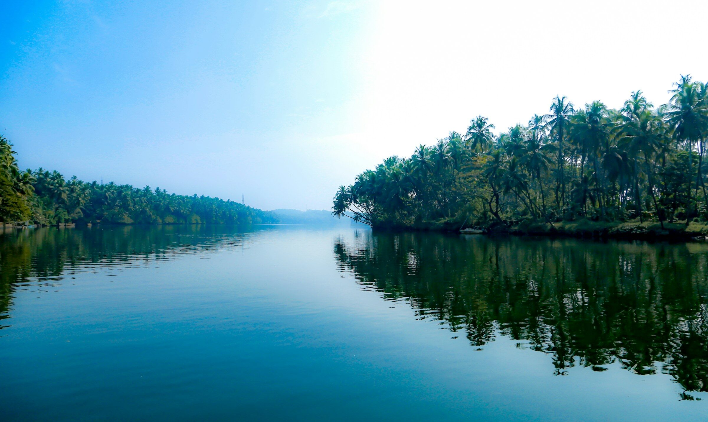 Kerala backwater lined with coconut palms, seen wide